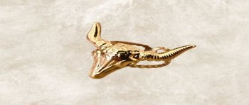 Anillos de acero inoxidable