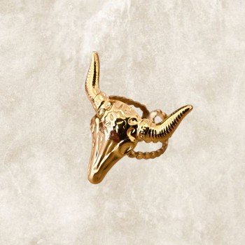 Anillos de acero inoxidable