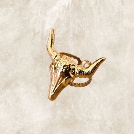 Anillos de acero inoxidable