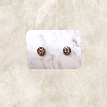 Pendientes de acero y brillante plata